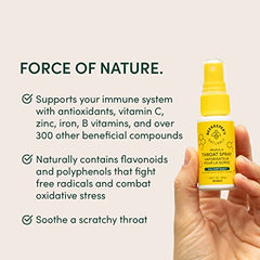 BEEKEEPER'S NATURALS Propolis Throat Spray - 85mg Bee Propolis Extract - Natural Immune Support, Sore Throat Relief & Antioxodant Support - Antioxidants, Keto, Paleo, Gluten-Free (1.06 oz)