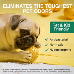 | Carpet Freshener & Deodorizer Powder | Pet Odor Eliminator for Strong Odor & Pet Urine | Fresh Natural Lemon & Eucalyptus Scent | Biodegradable, Safe for Homes with Pets - 31oz