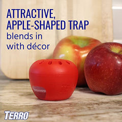 Terro Fruit Fly Trap 4 Traps + 90 Days Lure Supply