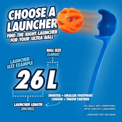 Chuckit! 31933 Breathe Right Fetch Ball, Large