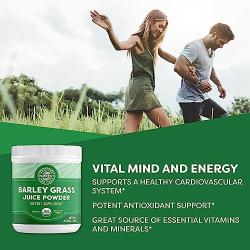 Vimergy Barley Grass Juice Powder, 62 Servings – Source of antioxidant - Contains Iron, Vitamin C, & Vitamin E – Non-GMO, Gluten-Free, Soy-Free, Vegan & Paleo – Daily Greens Booster (250g)