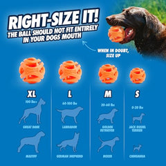 Chuckit! 31933 Breathe Right Fetch Ball, Large