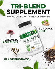 Renew Actives Sea Moss Capsules - Premium Triple-Action Antioxidant Blend with BioPerine for Ultimate Absorption - Organic Irish Sea Moss, Bladderwrack & Burdock Root - 60 Capsules