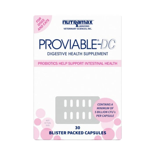 Nutramax Proviable Digestive Health Supplement Multi-Strain Probiotics and Prebiotics for Cats and Dogs - With 7 Strains of Bacteria, 30 Capsules