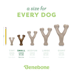 Benebone Wishbone Durable Dog Chew Toy for Aggressive Chewers, Real Chicken, Made in USA, Small