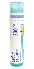 Ledum Palustre 200ch,Boiron Homeopathic Medicine