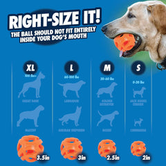 Chuckit! 31932 Breathe Right Fetch Ball, Medium