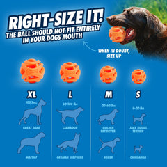 ChuckIt! Durable Breathe Right Ball Dog Toy, (Medium 2-Pack)