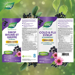 Nature's Way Sambucus Cold and Flu Care Immune with Vitamin C and Zinc – Elderberry Syrup with Echinacea and Propolis – Used in Herbal Medicine for Symptom Relief for Kids 2+ and Adults, 120 ml