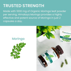 Himalaya Herbs - Moringa 60ct