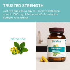 Himalaya Formulas - Berberine 60ct