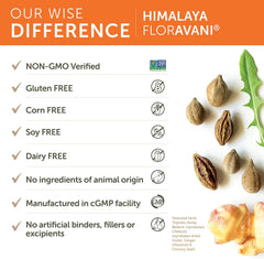 Himalaya Formulas - Floravani 90ct