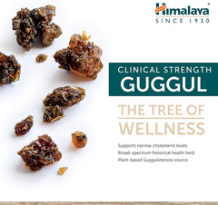 Himalaya Herbs - Guggul 60ct