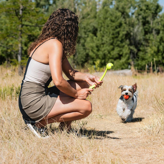 ChuckIt! Durable Breathe Right Ball Dog Toy, (Medium 2-Pack)