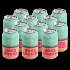 Geez Louise Sparkling Water - 12 x 355ml