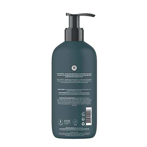 ATTITUDE Hand Soap, Plant and Mineral-Based Ingredients, Vegan and Cruelty-free Personal Care Products, Limited Edition Fall 2022, Pine & Sage, 473 mL