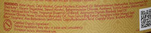 SheaMoisture Manuka Honey & Mafura Oil Intensive Hydration Hair Masque hair treatment - Zecoya