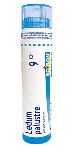 Ledum Palustre 9ch,Boiron Homeopathic Medicine