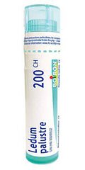 Ledum Palustre 200ch,Boiron Homeopathic Medicine