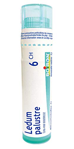 Ledum Palustre 6ch,Boiron Homeopathic Medicine