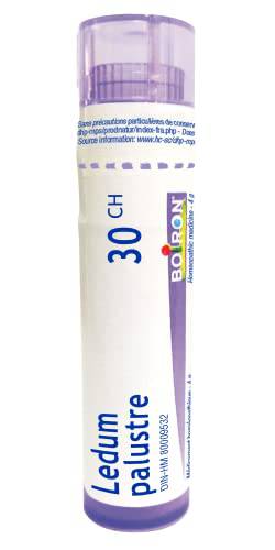 Ledum Palustre 30ch / 30,Boiron Homeopathic Medicine