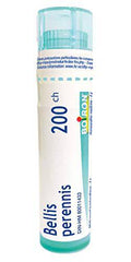 Bellis Perennis 200CH Boiron Homeopathic Medicine