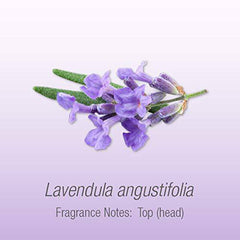 Herbal Select Lavender Essential Oil, 30ml