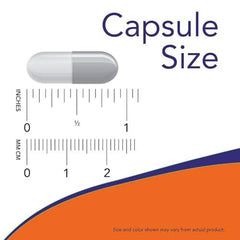 Now Foods Magtein™ Magnesium L-Threonate 90vcap