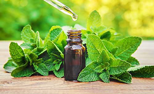 Peppermint Essential Oil 4 oz