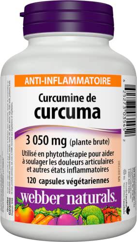 Webber Naturals Turmeric Curcumin, 3,050 mg of Raw Herb, 120 Capsules, Antioxidant Support, Vegan - Zecoya