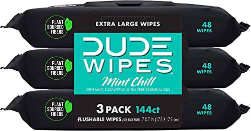 DUDE Wipes Flushable Wet Wipes Dispenser, Mint Chill, 48 Count (Pack of 3) Scented Wet Wipes with Vitamin-E, Aloe, Eucalyptus & Tea Tree Oils for at-Home Use, Septic and Sewer Safe