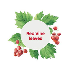 ATTITUDE Hand Soap, EWG Verified, Plant and Mineral-Based Ingredients, Vegan and Cruelty-free Beauty and Personal Care Products, Vine Leaves and Pomegranate, 473 mL