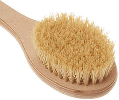 The Body Shop Canada Long Handle Exfoliating Cactus Body Brush