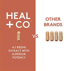 HEAL + CO. Reishi Supplement | High Potency 4:1 extract, 4000 mg per serving | Stress + Immunity | 120 x 500 mg Capsules