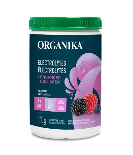 Organika Electrolytes + Enhanced Collagen- Wildberry Flavour- Sugar-Free Hydration + Protein 360 gram - 30 Servings