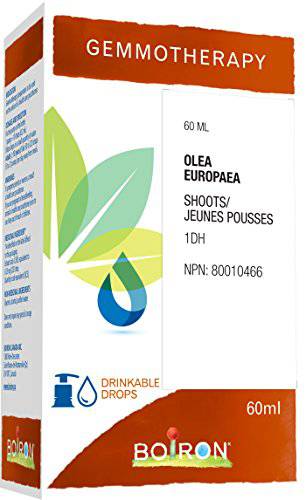 Gemmotherapy, olea europaea shoots (olive) 1dh 60ml, homeopathic medicine 60 milliliter by Boiron Canada