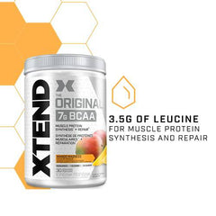 Scivation XTEND Original BCAA Powder | Sugar Free Post Workout Muscle Recovery Drink with Amino Acids | 7g BCAAs for Men & Women | 30 Servings, Mango Madness