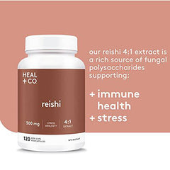 HEAL + CO. Reishi Supplement | High Potency 4:1 extract, 4000 mg per serving | Stress + Immunity | 120 x 500 mg Capsules