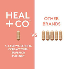 HEAL + CO. Ashwagandha Supplement | High Potency 5:1 extract, 5000mg per serving | Stress + Energy Support | 120 x 500 mg Capsules