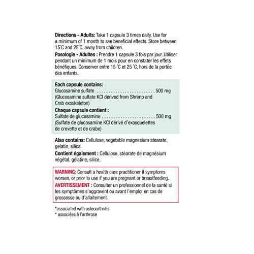 Glucosamine Regular Strength 500 mg - Zecoya