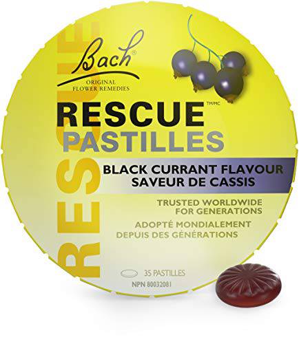 Pastilles Black Currant