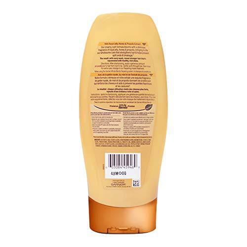 Garnier Whole Blends Honey Treasures Repairing Conditioner, 370 mL - Zecoya