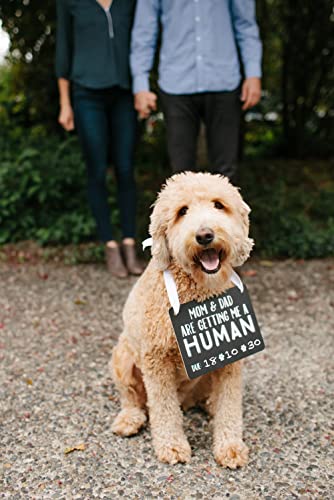 Pearhead Pet's Baby Announcement Chalkboard Photo Prop Sign, Mom & Dad are Getting Me A Human, Chalkboard Pregnancy Announcement Sign, Dog Or Cat Announcement Board