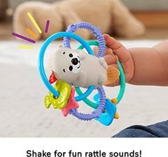 Fisher-Price Baby Rattle and BPA-Free Teething Toy with Flexible Rings for Newborns, Twist & Teethe Otter