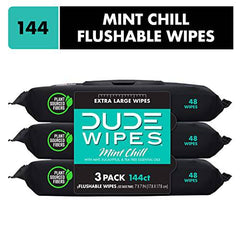 DUDE Wipes Flushable Wet Wipes Dispenser, Mint Chill, 48 Count (Pack of 3) Scented Wet Wipes with Vitamin-E, Aloe, Eucalyptus & Tea Tree Oils for at-Home Use, Septic and Sewer Safe