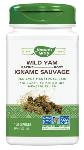 Nature's Way Wild Yam / 100 Veg Caps