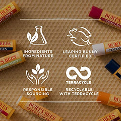 Burt's Bees 100% Natural Origin Moisturizing Lip Balm, Mint Cocoa - 1 Tube Clear, Christmas Gifts, Stocking Stuffer