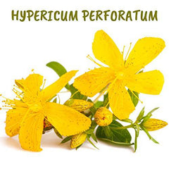 Boiron, Hypericum perforatum 30CH, Homeopathic Medicine, 4 g