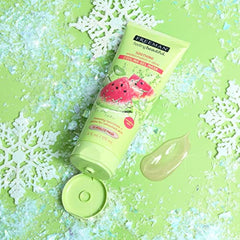 Freeman Facial Watermelon + Aloe Cooling Gel Mask 6oz