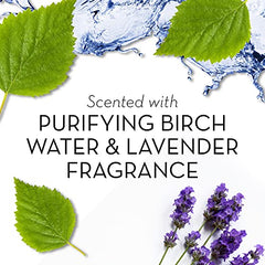 Olay Fresh Outlast Notes Of Purifying Birch Water & Lavender Beauty Bar, 113 g, 8 count, Blue and White